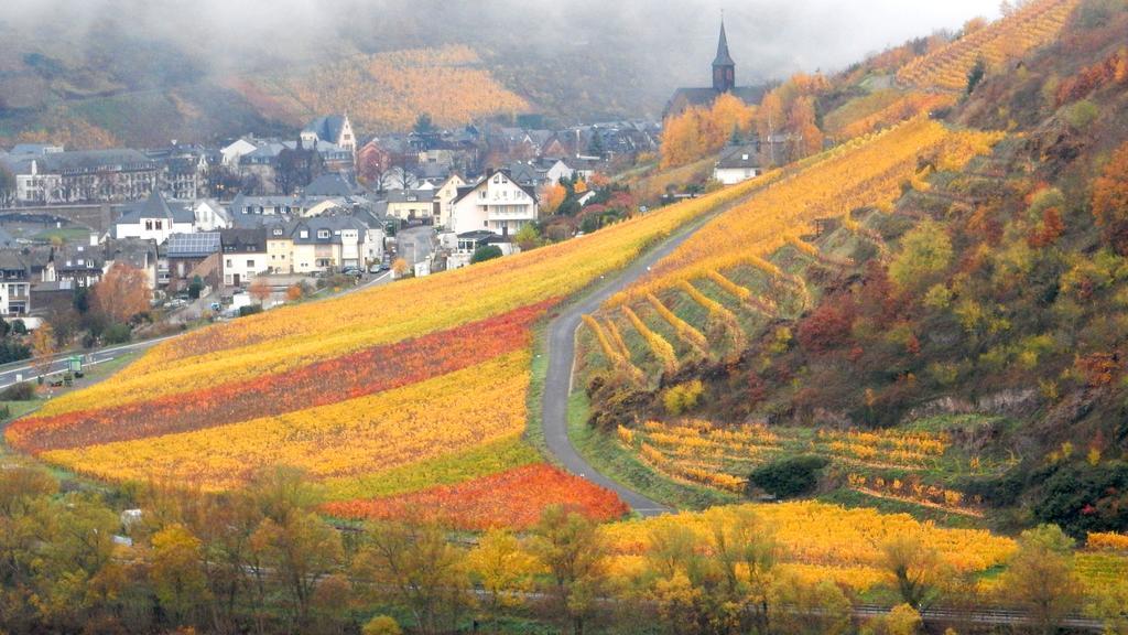 Apartment Happy Mosel Cochem Eksteriør bilde